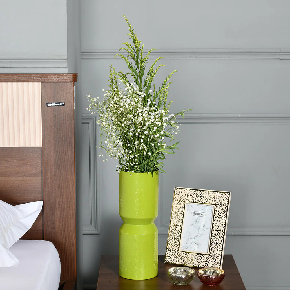 Explore Popular Picks